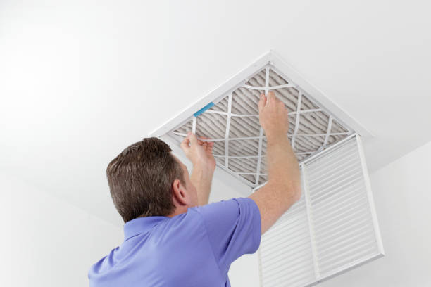 Best Professional Duct Cleaning Services  in Fairhope, AL